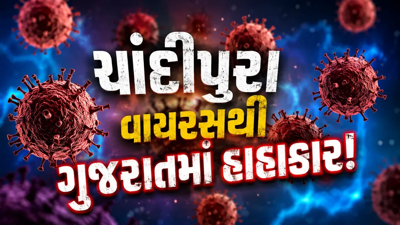 ગુજરાતમાં ચાંદીપુરા વાયરસે વધારી ચિંતા, બાળકોમાં ફેલાતો ચેપ બન્યો મોટો પડકાર