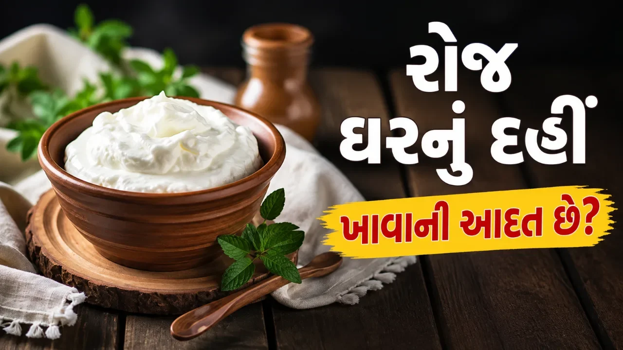 ઘરનું દહીં: એક નાનું બાઉલ, સ્વાસ્થ્ય માટે મોટા ફાયદા!