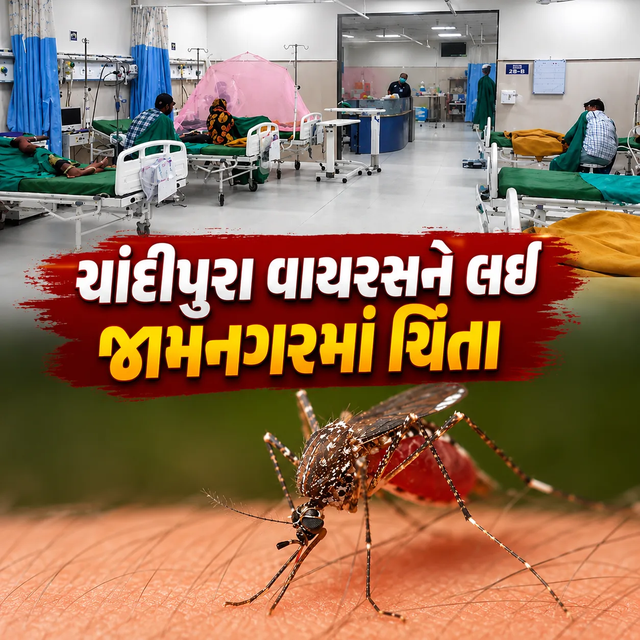 ચાંદીપુરા વાયરસને લઈ જામનગરમાં ચિંતા, ત્રણ દર્દી દાખલ થતાં આરોગ્ય વિભાગ એલર્ટ મોડમાં