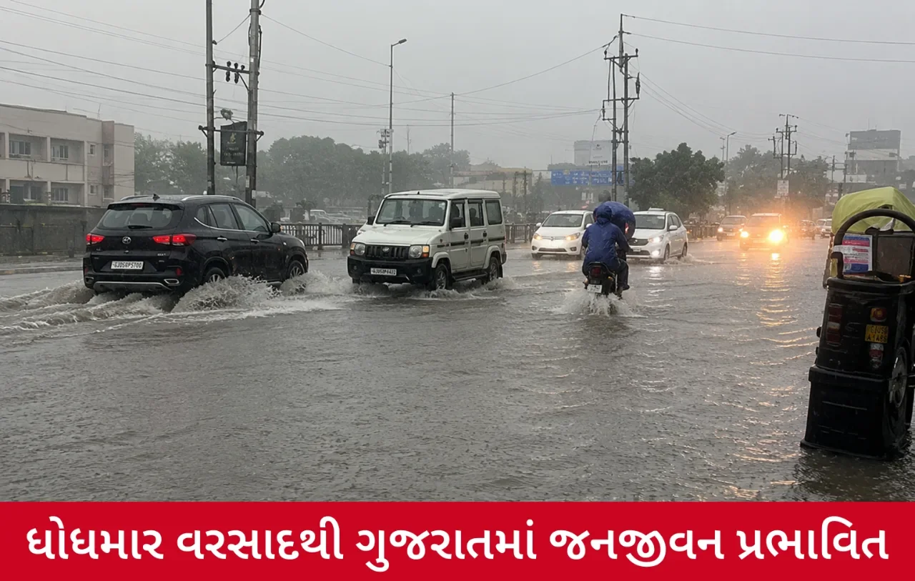 ગુજરાત વરસાદથી તરબોળ! 265 તાલુકામાં મેઘમહેર, સાંતલપુર બન્યું સૌથી વધુ વરસાદનું કેન્દ્ર