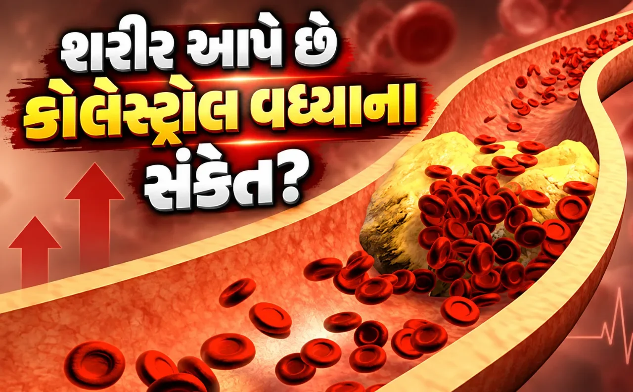કોલેસ્ટ્રોલની ચેતવણી માત્ર રક્ત તપાસમાં નહીં, શરીરમાં દેખાતા આ ૭ ફેરફારો પણ જાણો