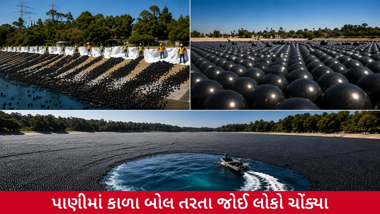 પીવાના પાણીને બચાવવા લોસ એન્જેલિસનો અનોખો ઉપાય, જાણો કાળા બોલનું રહસ્ય